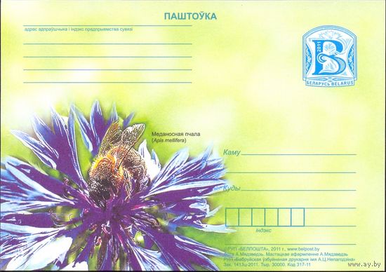 Беларусь 2011 ПК с "В" медоносная пчела фауна