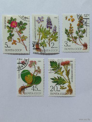 Марки  Растения  Почта СССР   1985  5  шт. - 3,00 руб.