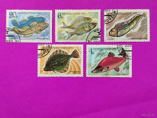 СССР. Промысловые рыбы. ( 5 марок ) 1983 года. 8-1.