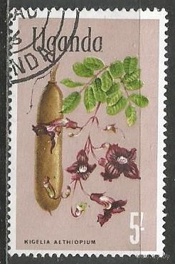 Уганда. Колбасное дерево. 1969г. Mi#116.