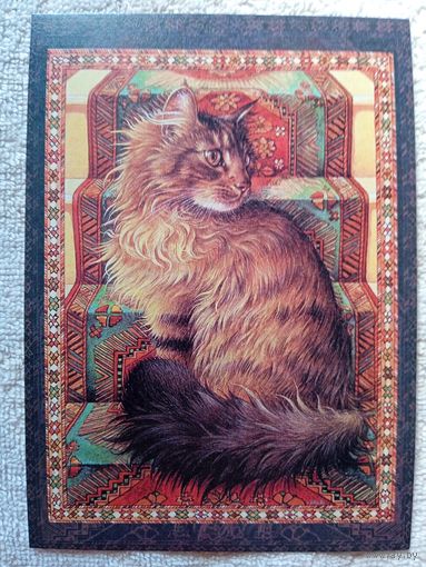 Коты и мечты