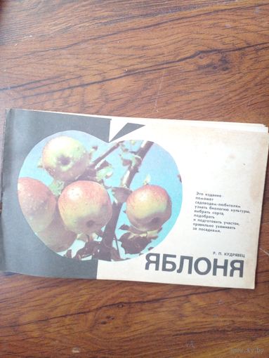 Яблоня Кудрявцев