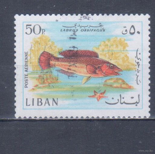 [759] Ливан 1968. Фауна.Рыба.50 п. Гашеная марка.