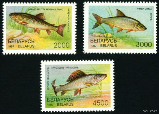 Редкие виды рыб водоемов Беларусь 1997 год (228-230) 3 марки