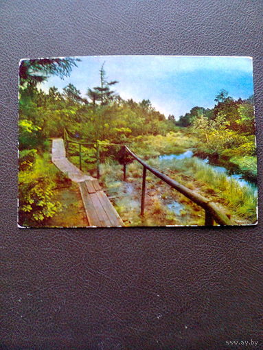 ОТКРЫТКА "ПРИРОДА" (ГДР, Фрейденсбург). 1970-е годы.