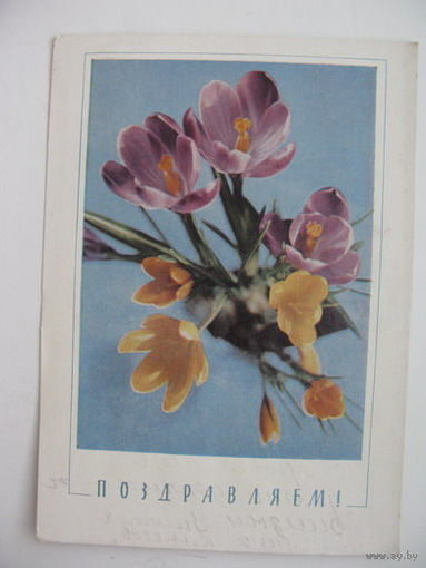 Поздравляем   1968