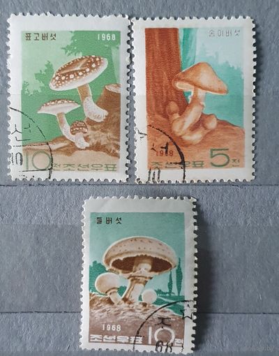 КНДР грибы 3шт