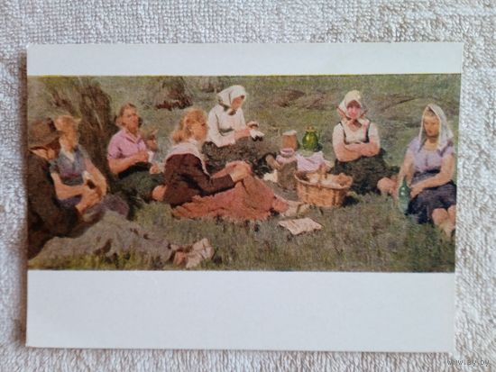 1958. Скулме. На лугу