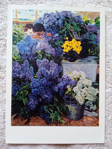 Сорокин. Май