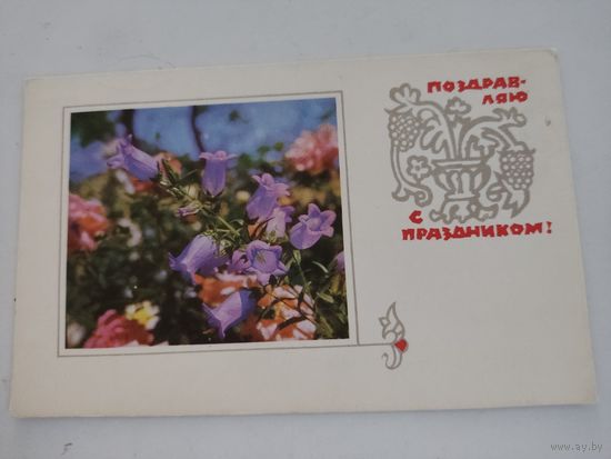 Открытка "Поздравляю с праздником!", художник А. Тюрин, фото В. Хоменко, 1968 г.