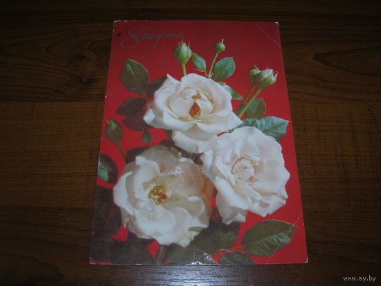 8 Марта Дергилев 1990 год Провизорий 2 рубля Подписана Прошла почту