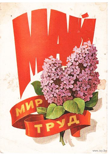 Почтовая карточка СССР 1980, подписана. Худ. Л. Кузнецов