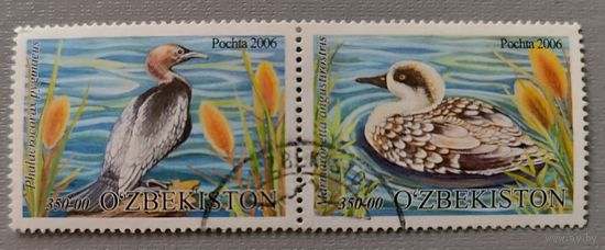 Утки. Птицы. Узбекистан, 2006