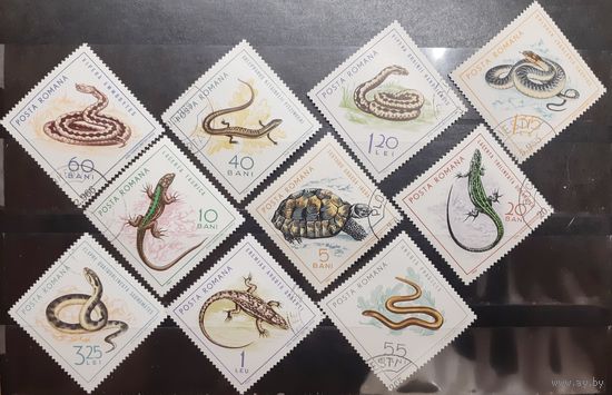 Румыния. 1965 год. Фауна. Пресмыкающиеся (1069)