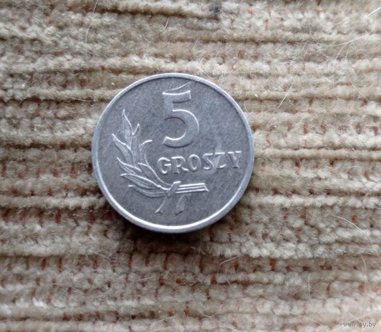 Werty71 Польша 5 грошей 1958