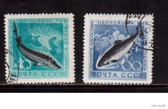 СССР-1959, (Заг.2246-2247)  гаш.(с клеем)  ,Фауна, Рыбы