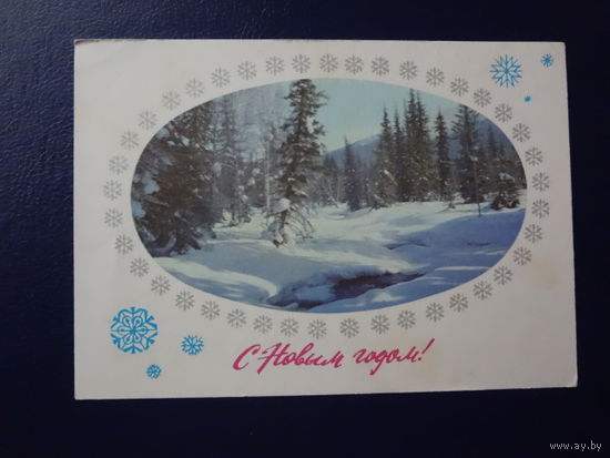С Новым годом!  1976 г.  Фото зимнего леса (овал).  подписанная.