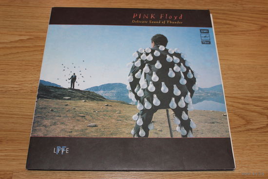 Pink Floyd - Delicate Sound Of Thunder -2LP