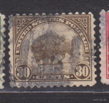 Американский буйвол Фауна США 1923 год Лот 11