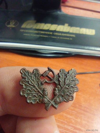 Кокарда лесника редкая (латунь)