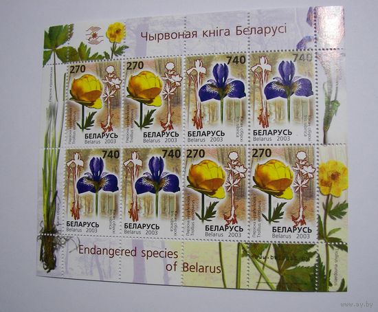 МАрки РБ. Цветы. Купальница европейская. Ирис. М/Л. 2003