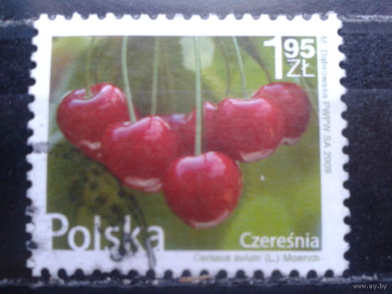 Польша, 2009, Стандарт, Черешня