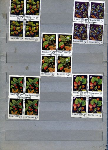СССР, 1982,  ЯГОДЫ дикорастущие,  серия 5м,   в   к/блок,   гашеная