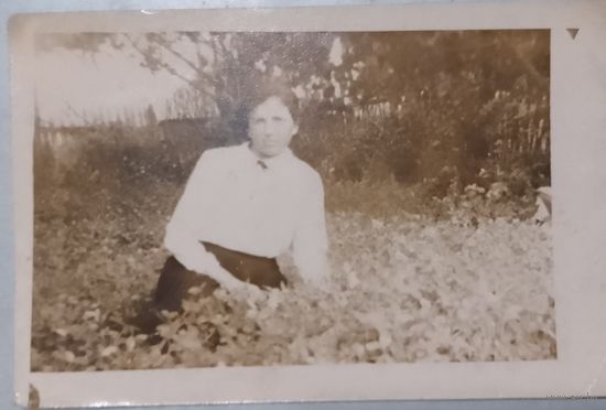 Фото в коллекцию