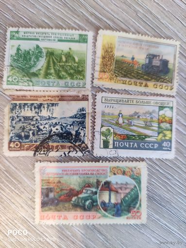 Сельское хозяйство 1954