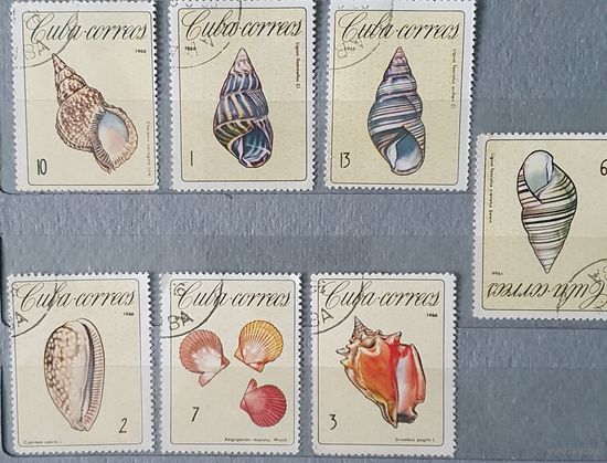 Куба ракушки 7шт