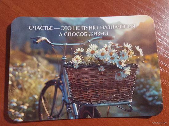 Карманный календарик. Велосипед. Ромашки. 2025 год