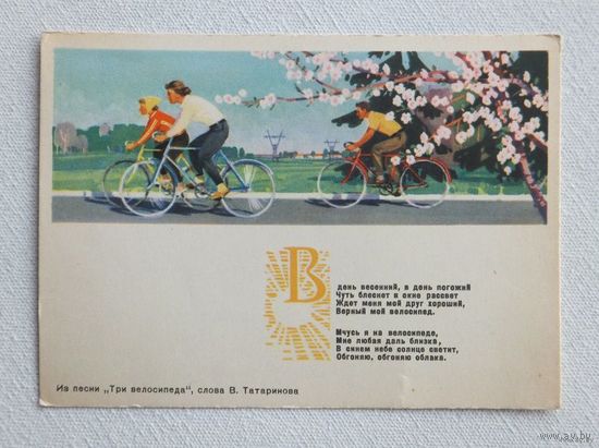 Красицкая велосипедисты 1964