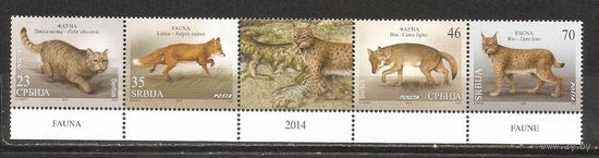 ФФ1 Сербия 2014 Фауна