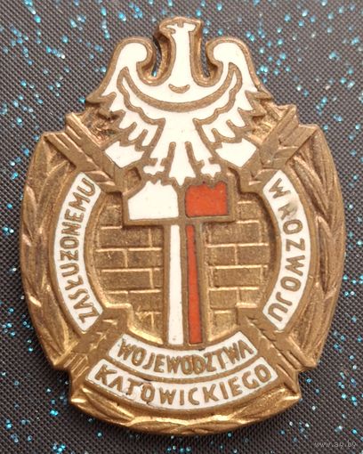 Знак ЗА ЗАСЛУГИ В РАЗВИТИИ ВОЕВОДСТВА КАТОВИЦКОГО распродажа коллекции
