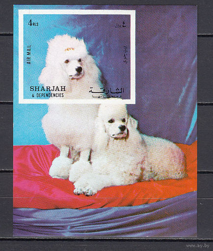 Фауна. Собаки. Шарджа. 1972. 1 блок б/з. Michel N бл119 (550 е)