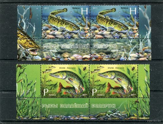 Беларусь 2011. Рыбы водоемов Беларуси. Нижняя сцепка листа