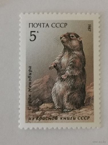 Марка из серии "Красная Книга СССР. Фауна. Млекопитающие." - Сурок Мензбира