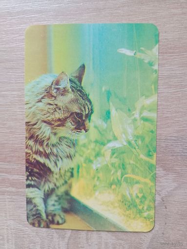 Календарик 1992