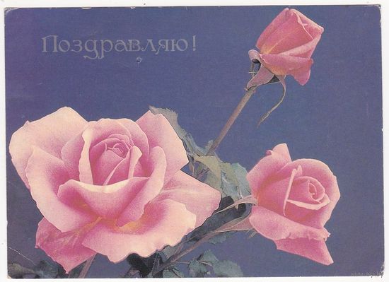 Открытка 1987 (256)