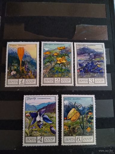 1971 СССР цветы флора полная чистая серия MNH**(сф-1)