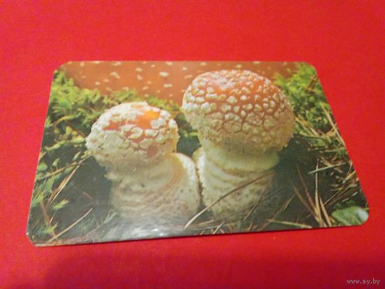 Календарик 1991г.