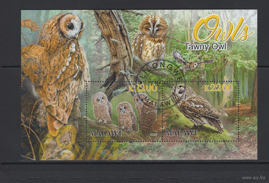 Малави 2022 Хищные Птицы Совы Фил.гашение