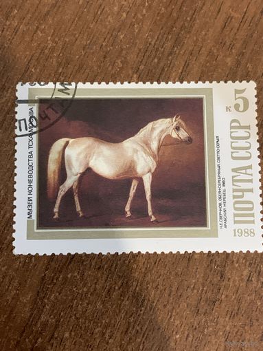 СССР 1988. Музей коневодства. Марка из серии