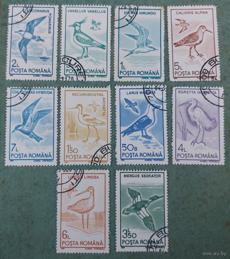 Румыния 1991 Птицы