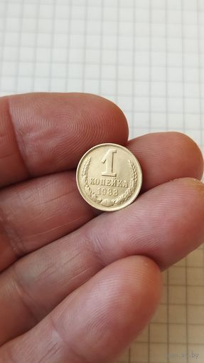 1 копейка 1988 г. СССР.