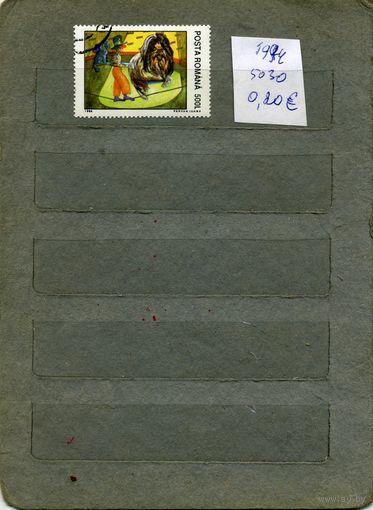 РУМЫНИЯ, 1994 ,   ЦИРК, 1м