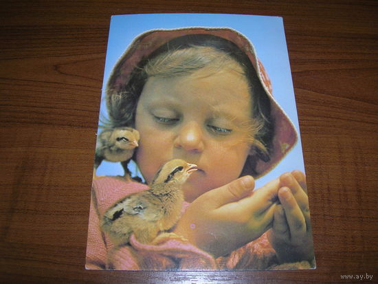 Дети Птенцы Рябко 1987 год Чистая