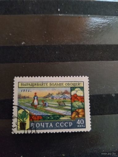 1954 СССР Загорский 1709 флора (сф-4)