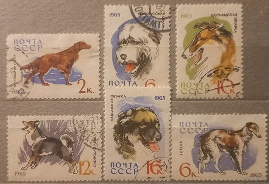 СССР. 1965г. Породы собак.