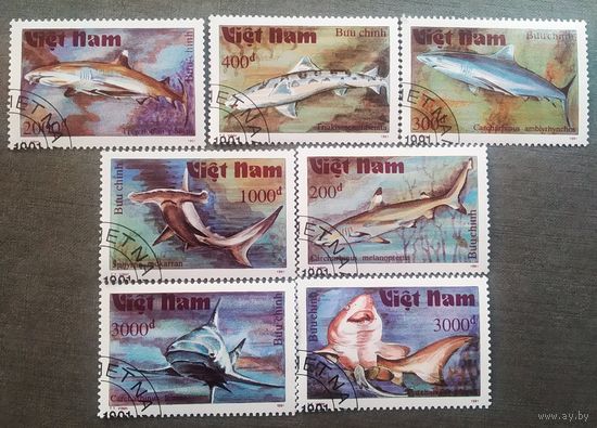 Марки Вьетнам 1991 год Акулы
